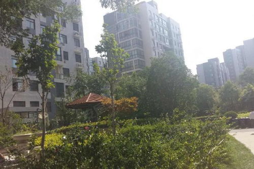 東方鼎盛時(shí)代三期優(yōu)點(diǎn) 不足,東方鼎盛時(shí)代三期怎么樣,東方鼎盛時(shí)代三期周邊房產(chǎn)中介經(jīng)紀(jì)人評(píng)價(jià) 鄭州安居客